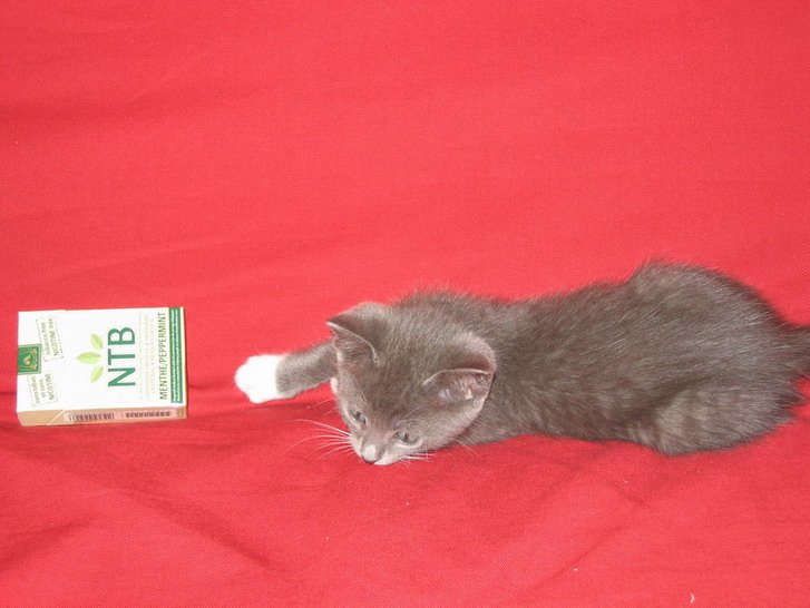 small product photo